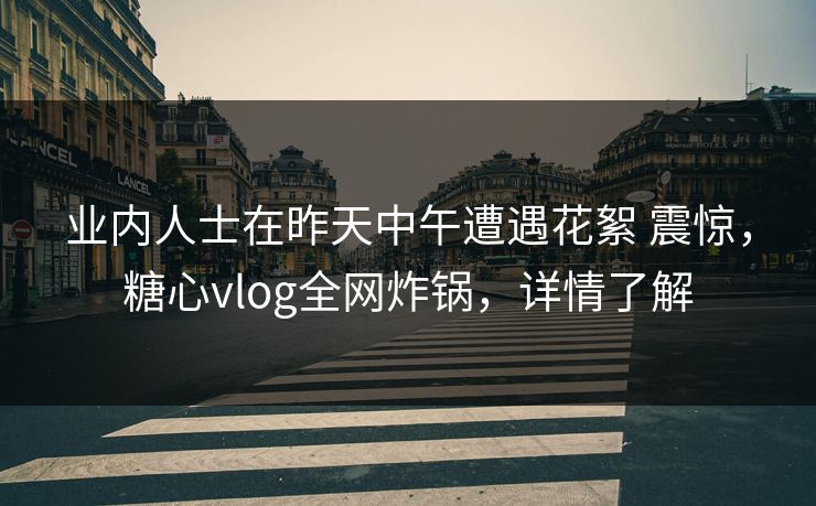 业内人士在昨天中午遭遇花絮 震惊，糖心vlog全网炸锅，详情了解