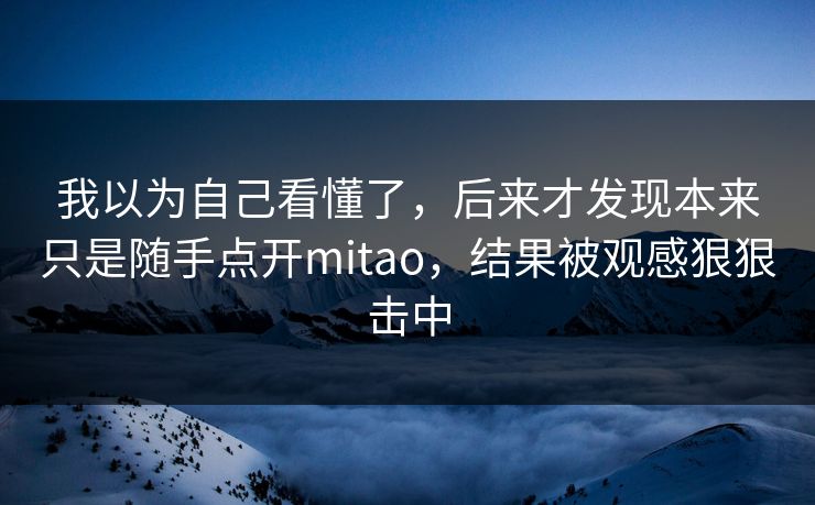 我以为自己看懂了，后来才发现本来只是随手点开mitao，结果被观感狠狠击中